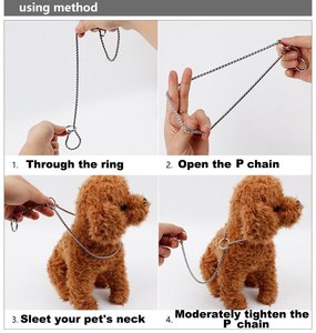 Kingtale Customized Solid <strong>Dog</strong> Leads Collars 201A Choke Chain Collar for Training <strong>Silver</strong> with Pet ID <strong>Tag</strong> for Walking - Product Image 6