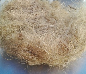 Fibre de coco crue de qualité supérieure fibre de coco coco au prix le moins cher - Product Image 2