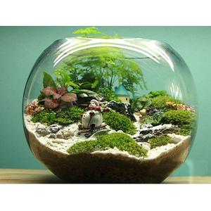 Smart Ronde Glazen Vissenkom Aquarium - Product Image 2