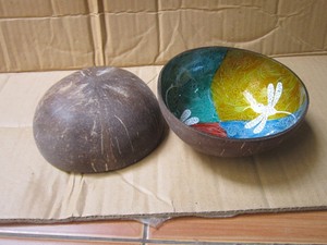 Moderno Tazón de Cáscara de Coco Natural de Vietnam |   Proveedor al por Mayor de Productos Ecológicos Hechos a Mano y No Tóxicos - Alex Truong - Product Image 5
