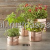 ที่มีคุณภาพสูงชุบทองแดงเหล็กชาวไร่สวนหม้อ - Product Image 2