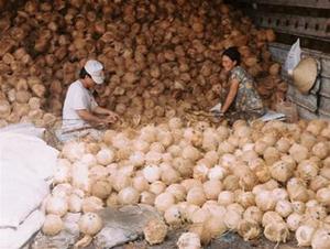 มะพร้าวอบแห้งรับรองมาตรฐาน HACCP ราคาดีที่สุด จาก VIET DELTA อุตสาหกรรมเวียดนาม อายุการเก็บรักษา 24 เดือน สำหรับผู้นำเข้า - Product Image 6
