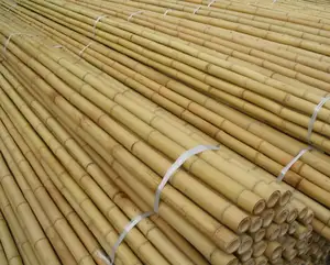 SUPPLYING OF BEST BAMBOO CANES FROM VIET NAM (WHATSAPP +84 845 639 639)