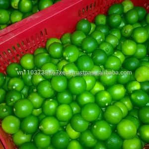 Limón fresco, limón fresco, 2021 - Product Image 3