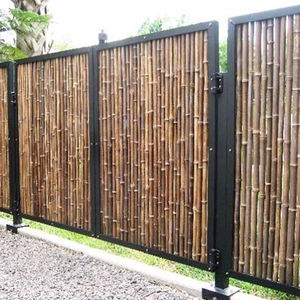 ไม้ไผ่ขนาดใหญ่สำหรับตกแต่งและค้ำต้นไม้ สีธรรมชาติ วัตถุดิบจากเวียดนาม ความยาว 30 ซม.-600 ซม. - Product Image 4