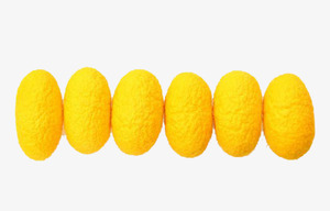 รังไหม / ลูกไหม / ไหมอัหิมซา - Product Image 4