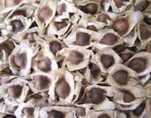 Huile de Moringa, vente en gros, depuis les fabricants indiens - Product Image 3