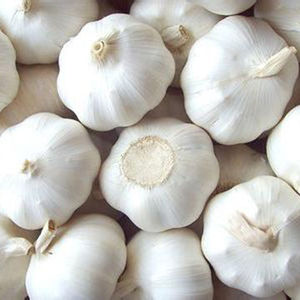 Sud-Africain ISO Certifié Ail Blanc Frais En Gros Légumes 1kg Mesh Sacs/cartons Prix Usine - Product Image 1