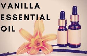 Lot de 6 Huiles Essentielles Certifiées BPF pour Aromathérapie, Vente en Gros OEM/ODM, Huile de Vanille Pure Naturelle et Huile d'Arbre à Thé Extraite par Solvant pour - Product Image 2