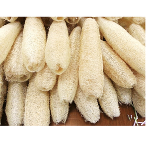 Luffa naturel brut/luffa naturel pour douche/savon luffa vacances - Product Image 6
