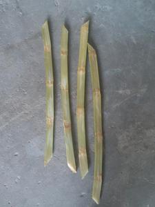 Jugo de caña de azúcar congelado verano caliente 2019 Ms. Vacaciones - Product Image 5
