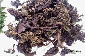แห้ง SHISO-แห้ง PERILLA - Product Image 6