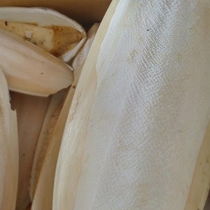 Pienso para pájaros/HUESO DE PESCADO LAVADO SECO - Product Image 5