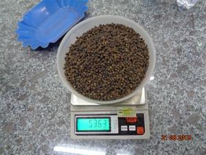 พริกไทยดำเวียดนามขายดี คุณภาพสูง เครื่องเทศรสเข้มข้น อบแห้ง ราคาส่ง - Product Image 3