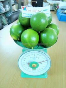 Limón fresco, limón fresco, cítricos verdes - Product Image 4