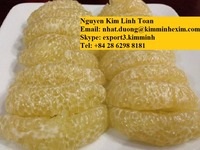 Verse Pomelo Citrus Fruit Witte Pulp/Roze Pulp Gemeenschappelijke