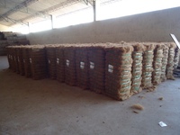 Fibres de coco séchées écologiques naturelles pour la plantation, longueur 15-20 cm, faible teneur en poussière et impuretés