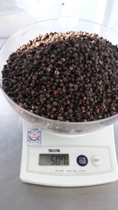 พริกไทยดำเวียดนามขายดี คุณภาพสูง เครื่องเทศรสเข้มข้น อบแห้ง ราคาส่ง - Product Image 4