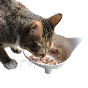 공장 도매 수염 피로 무료 얕은 고양이 음식 그릇 와이드 고양이 접시