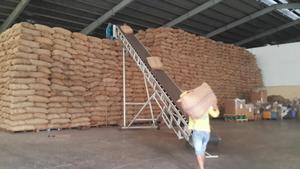 เม็ดมะม่วงหิมพานต์ดิบคุณภาพสูงจาก ww240แอฟริกาใต้ ww320 ww450 SW240 SW320. - Product Image 5