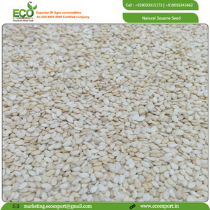Sesamo naturale della migliore qualità dall'india con esportazione di sesamo di colore bianco superiore dall'india <span class=keywords><strong>Sesame</strong></span> - Product Image 4