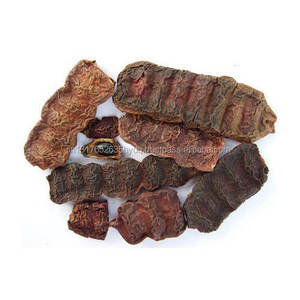 Polvo de Shikakai Puro - Product Image 5