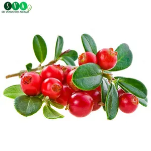 2018 Best Quality Organic Cranberry Seed OilでBulk