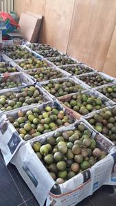 ราคาถูกสําหรับวันหยุดเสาวรสน - Product Image 6