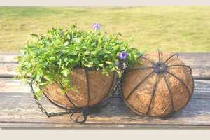 Pot suspendu en fibre de coco BIO Blooms - Pots en fibre de coco Whatsapp +84-845-639-639 - Product Image 2