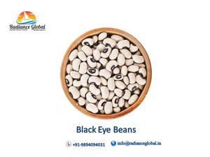 Frijoles Negros para Exportación en Bolsas de PP de 15kg/25kg/50kg, Vida Útil de 2-3 Años, Certificados por APEDA e ISO - Product Image 5