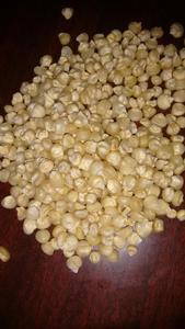 White Maize / Corn Animal Feed - Product Image 5