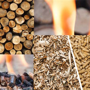 Pellets de madera para calefacción de aplicación del sistema de combustible de biomasa pellets de madera para venta - Product Image 4