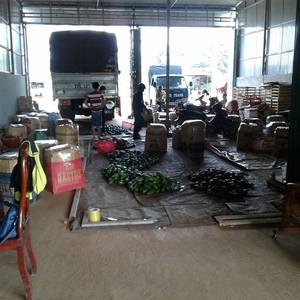 อะโวคาโดสด/อะโวคาโดสดแช่แข็งอะโวคาโด-ราคาที่ดีที่สุดและ2021คุณภาพ - Product Image 6