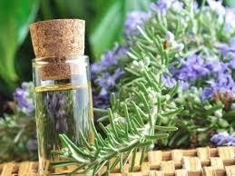 Aceite de Romero de alta calidad, fabricante de la India - Product Image 2