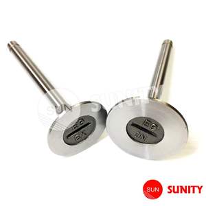 Soupapes d'admission et d'échappement de taille standard pour moteur diesel KUBOTA E9 à prix avantageux - Product Image 1