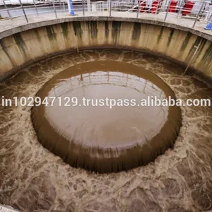 Ontwikkelen Biomassa In Beluchting Tank Van Afval Waterzuiveringsinstallatie