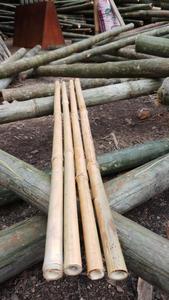 Poteaux de bambou de la meilleure qualité pour la construction et les installations du Vietnam en vente - Product Image 4