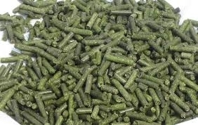 Cubes et granulés d'alfalfa déshydratés pour chevaux, bovins et porcs - Product Image 2