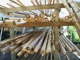 Postes de bambú para construcción - Product Image 2