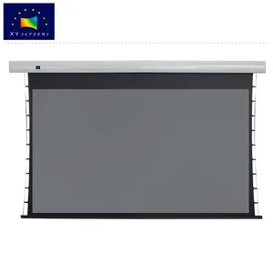 XY Screen Fabric Black Crystal Motorized Projection Screen for Home Theater Projector