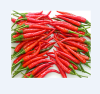 Piment frais / Piment rouge au meilleur prix du Vietnam