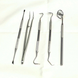 2026 Best Selling Professional Dental Oral Hygiene Kit 5 Tools Deep Cleaning Scaler <b>Teeth</b> Care Set LA ELAHI - Product Image 5