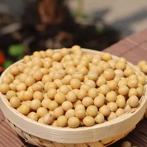 NON-GMO sarı soya/soya fasulyesi için yağ/tofu/hayvan yemi