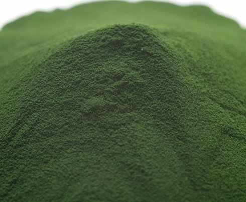 Japanese High Quality Chlorella Powder and Tablet Made in Japan for Health Foods and Dietary With GMP and Halal Certificates