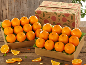 Naranjas Valencia y Mandarina de Primera Calidad Listas para Exportar, Cítricos Frescos de Alta Calidad de Sudáfrica - Product Image 2