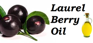 Aceite esencial de Laurel puro a granel, pérdida de peso destilada al vapor y beneficios blanqueadores, fabricante en la India - Product Image 4