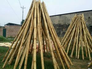 เสาไม้ไผ่ราคาดีที่สุดสำหรับตกแต่งสวน - Product Image 5