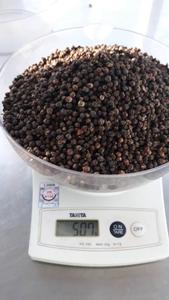 Vente Chaude Poivre Noir du Vietnam FAQ 500GL 550GL Nettoyé à la Machine Qualité Supérieure Vente en Gros Exportation - Product Image 3