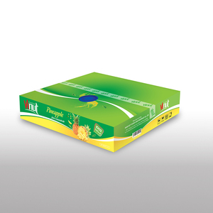 Concentrado de Aloe Vera en Bolsa de 20L Sin Azúcar, Proveedores y Fabricantes - Product Image 2