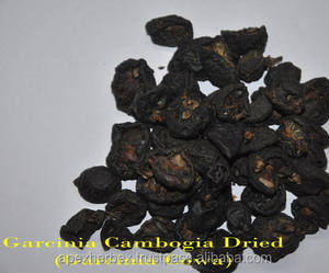 Extrait de Garcinia Cambogia Extrait de Garcinia - Product Image 3